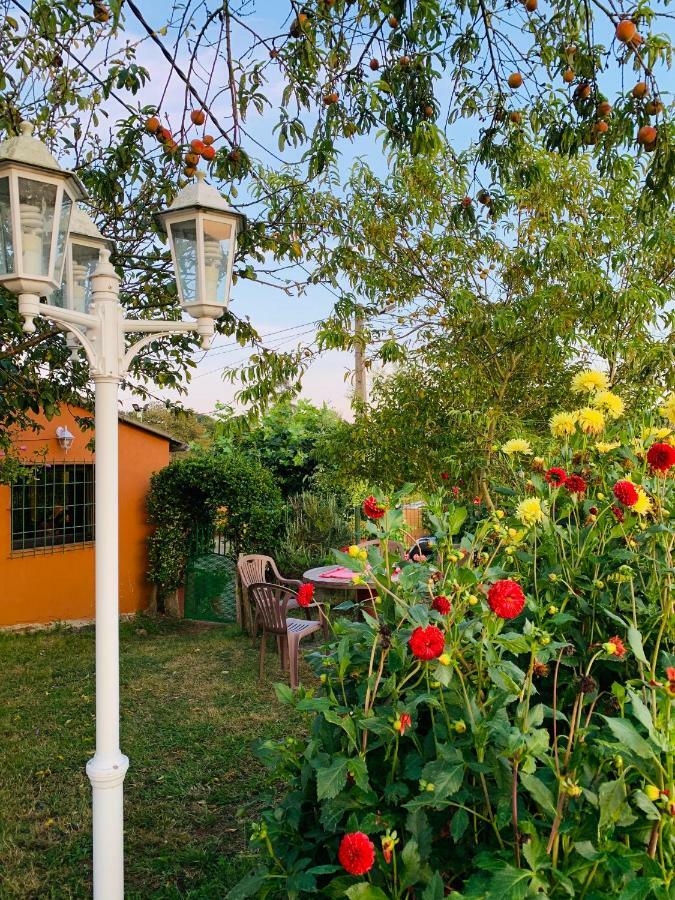 Siero Vivienda Vacacional El Majo מראה חיצוני תמונה
