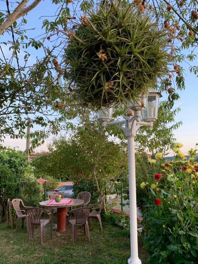 Siero Vivienda Vacacional El Majo מראה חיצוני תמונה